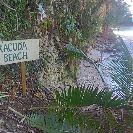 Barracuda Beach Hotel ปอร์ตอันโตนิโอ ภายนอก รูปภาพ