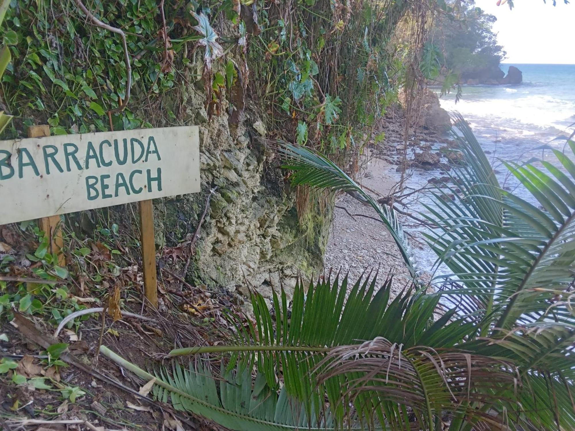 Barracuda Beach Hotel ปอร์ตอันโตนิโอ ภายนอก รูปภาพ